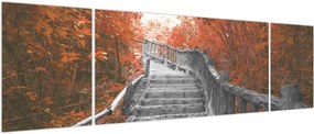 Obraz - Schody w naturze, pomarańczowy (170x50 cm)