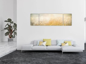 Obraz - Pole jesienią (170x50 cm)
