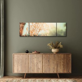 Obraz - Rośliny po deszczu (170x50 cm)