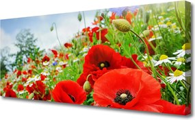 Obraz na płótnie Naturalne Piękno Kwiatów