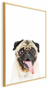 Plakat Mops 40x60 cm z ramą złotą bez marginesu ARTGEIST B