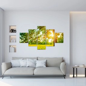 Obraz - Słoneczny Las (125x70 cm)