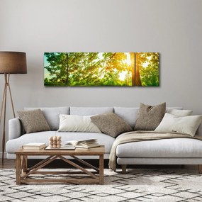Obraz - Słoneczny Las (170x50 cm)