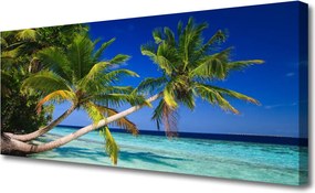 Zdjęcie na płótnie Tropikalny Brzeg z Palmą