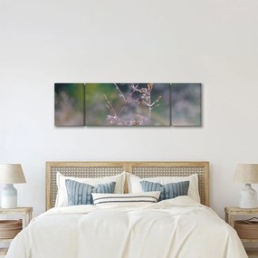 Obraz - Szczegół trawy (170x50 cm)