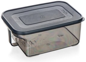Banquet Pojemnik do przechowywania z uchwytem ZOYA2,6 l, dymny, 2,6 l