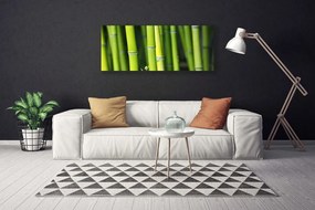 Fotoobraz na płótnie Zielone Łodygi Bambusa