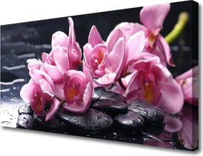 Fotoobraz na płótnie Egzotyczny Kwiat Orchidei