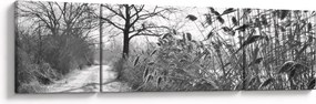 Obraz - Pola w zimie (170x50 cm)
