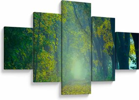 Obraz drogi wysadzanej drzewami (125x70 cm)