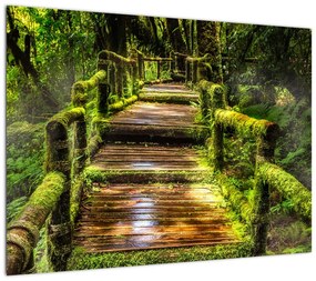 Obraz na szkle - schody w deszczowym pralesie (70x50 cm)