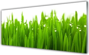 Panel Kuchenny Soczysta Zieleń Polany