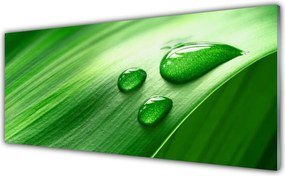 Panel Szklany do Kuchni Perlista Rosa Na Liściu