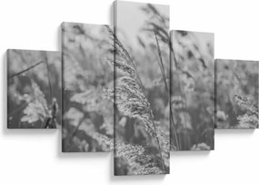 Obraz - Trawa na wietrze (125x70 cm)