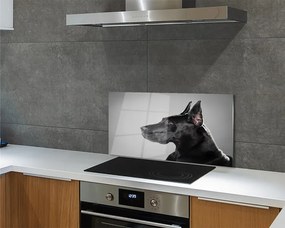 Panel szklany do Kuchni Elegancki Czarny Pies