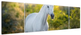 Obraz białego konia na łące (170x50 cm)