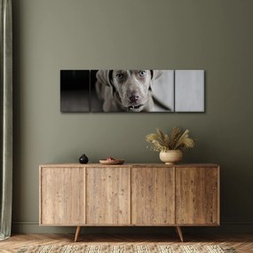 Obraz szczeniaka (170x50 cm)