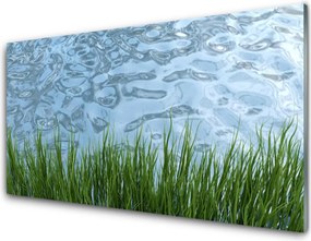 Panel Szklany Świeżość Trawy Nad Brzegiem