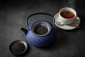 Czajnik żeliwny z zaparzaczem SABI, 1000 ml