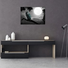 Obraz - Nocna sowa, niebieski (70x50 cm)