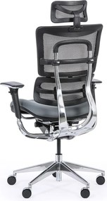 Wielofunkcyjne krzesło biurowe WINSTON SAB, szary
