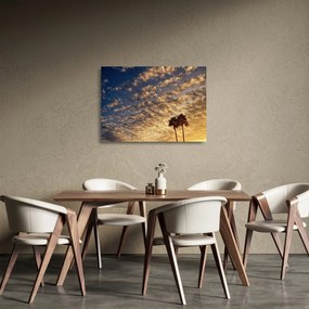 Obraz na szkle - palmy pośród chmur (70x50 cm)