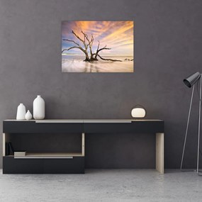 Obraz drzewa w oceanie (70x50 cm)