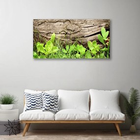 Obraz canvas Kwiaty Ukryte w Trawie