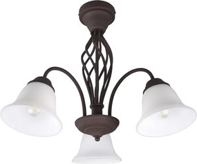 Ciemnobrązowa lampa sufitowa ze szklanym kloszem Rustica – Trio