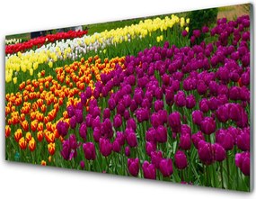 Panel Kuchenny Eleganckie Tulipany Holenderskie