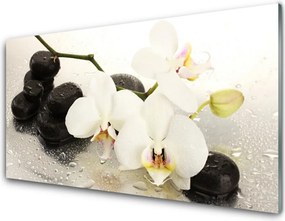 Szkło Ozdobne do Kuchni Egzotyczny Biały Storczyk