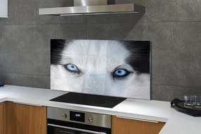 Szkło Ozdobne do Kuchni Przenikliwe Oczy Wilka