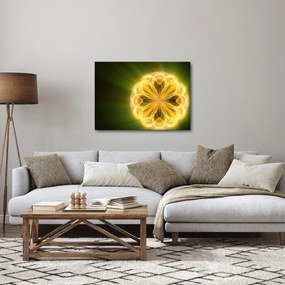 Obraz żółtego kwiatu (70x50 cm)