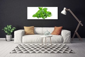 Obraz canvas Świeżość Liści Mięty