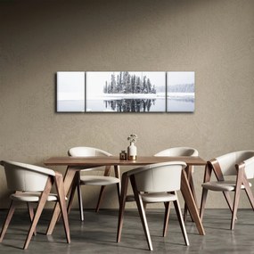 Obraz - Było biało (170x50 cm)