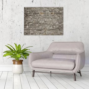Obraz ściany z cegły (70x50 cm)