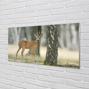 Szkło Ozdobne do Kuchni Król Lasu w Swoim Królestwie