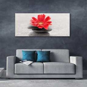 Obraz canvas Radosna Gerbera w Detalu