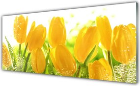 Szkło do Kuchni na Ścianę Tulipany w Pełnym Rozkwicie