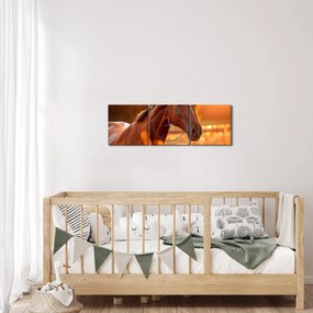Obraz - Koń o zachodzie słońca (z zegarem) (90x30 cm)
