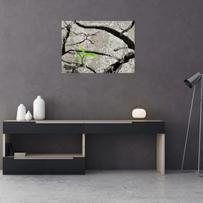Obraz - Pęknięcia (70x50 cm)