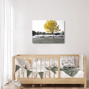 Obraz na szkle - Odpoczynek w parku (70x50 cm)