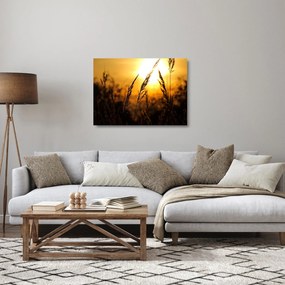 Obraz na szkle zachodzącego słońca (70x50 cm)
