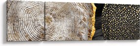 Obraz - Pień drzewa w kolażu 2 (170x50 cm)