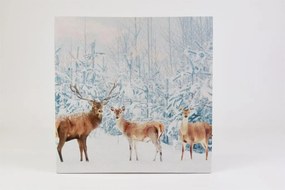 Obraz na ścianę "Jelenie w lesie", LED z timerem, 40 x 40 cm