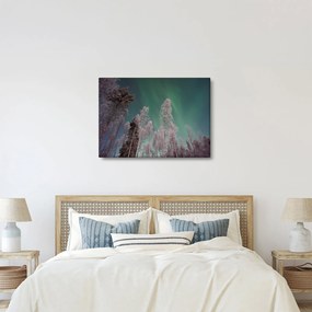 Obraz zorzy polarnej nad zamarzniętymi drzewami (70x50 cm)