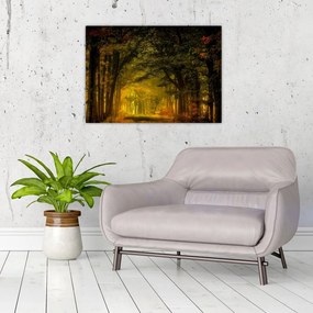 Obraz na szkle lasu (70x50 cm)
