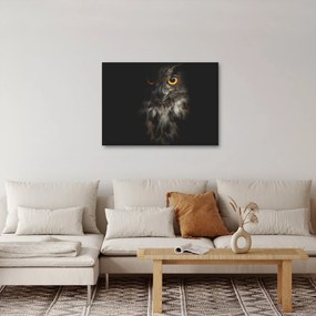 Obraz sowy (70x50 cm)