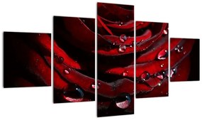 Obraz - Detal róży (125x70 cm)