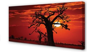 Obraz canvas na ścianę Drzewa i Chmury